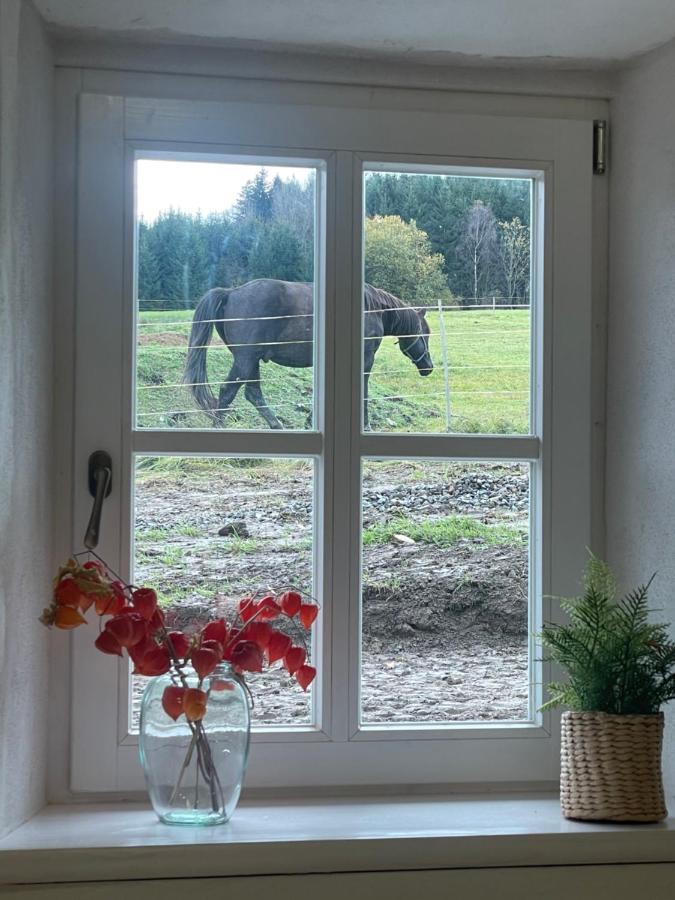 Holiday home Romanticka S Krbem